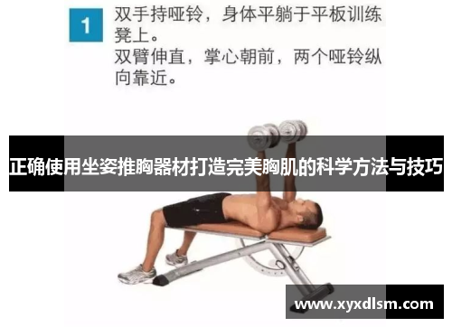 正确使用坐姿推胸器材打造完美胸肌的科学方法与技巧