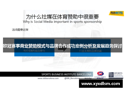 欧冠赛事商业赞助模式与品牌合作成功案例分析及发展趋势探讨