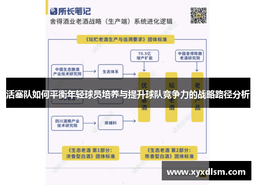 活塞队如何平衡年轻球员培养与提升球队竞争力的战略路径分析