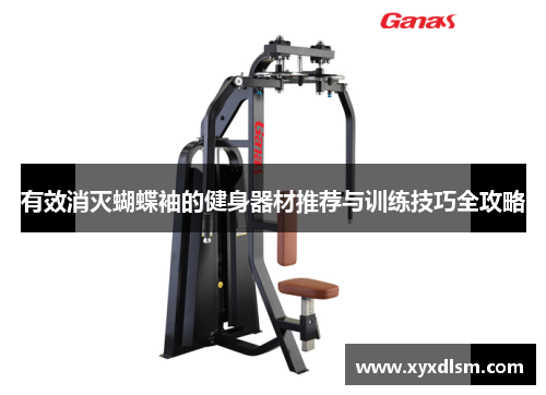 有效消灭蝴蝶袖的健身器材推荐与训练技巧全攻略